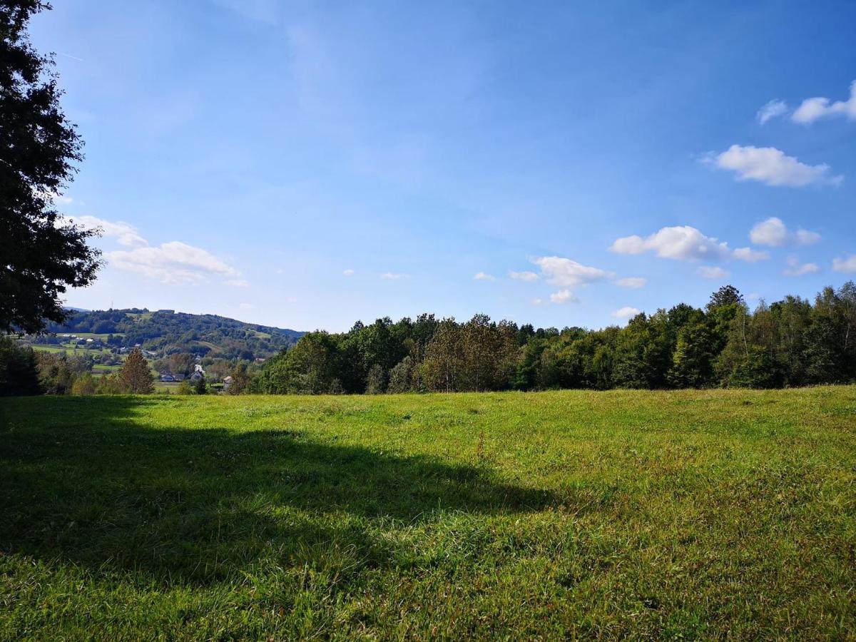 Zamek Ostrowski Villa Chojnik Luaran gambar